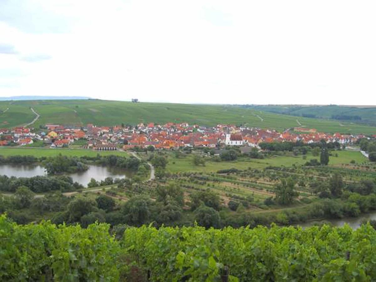Апартаменти Ferien- Und Winzerhof Ute Braun Нордгайм Екстер'єр фото
